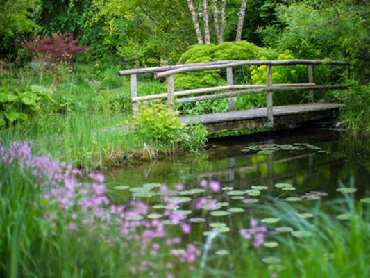 Teich Holzbrücke